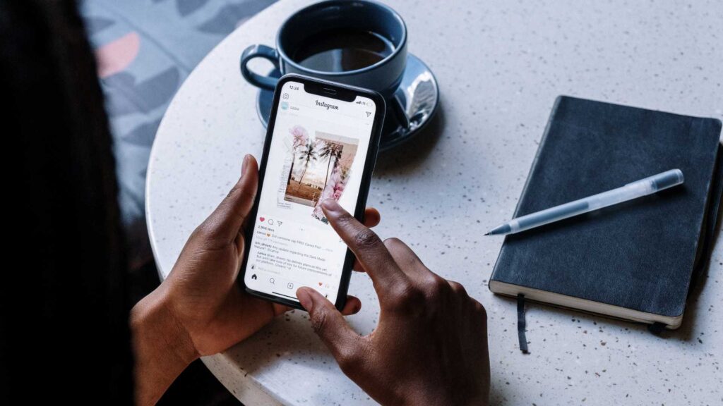 Feed instagram